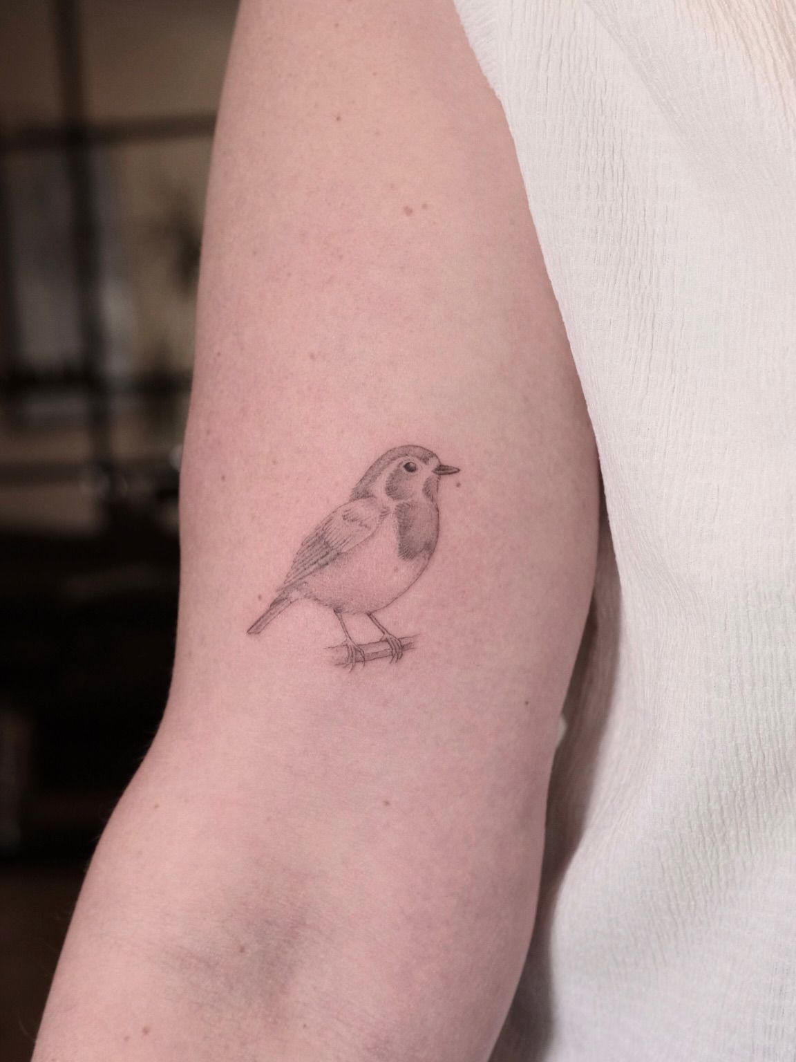 Fine line robin with soft shading on the back of the arm